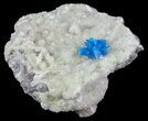 Vibrant Blue Cavansite Cluster on Stilbite - India #67791-2